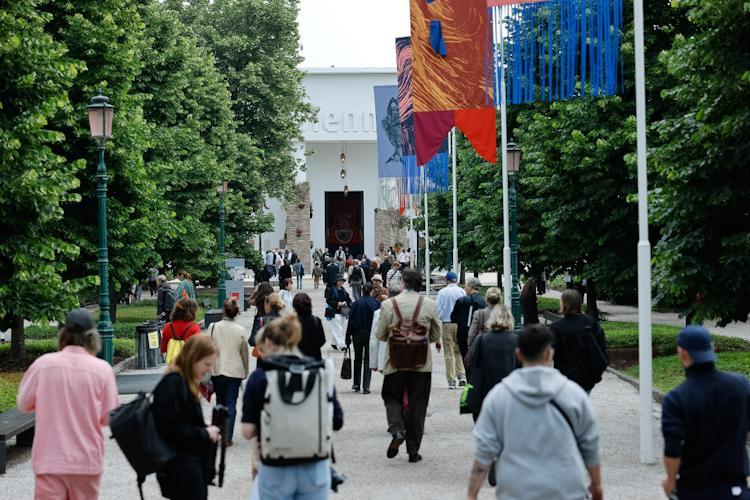 Voting Procedures for the Visitors’ Lions 