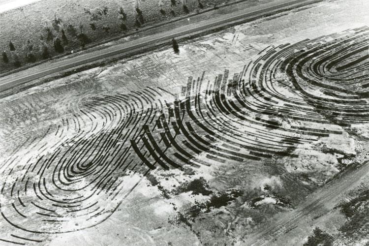 Archivio Storico Arte nella natura gli archivi della Biennale e