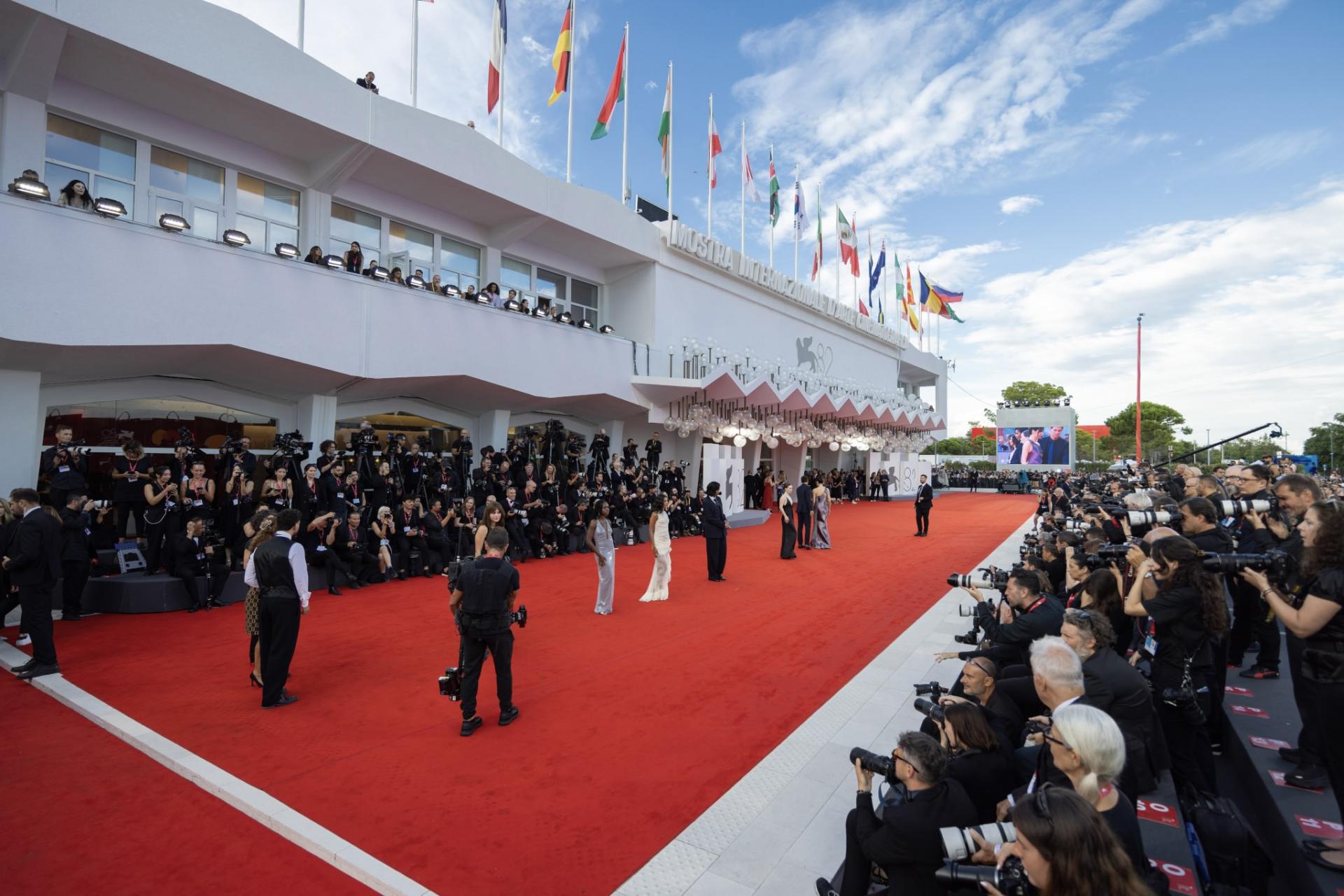 I numeri della Biennale Cinema 2025