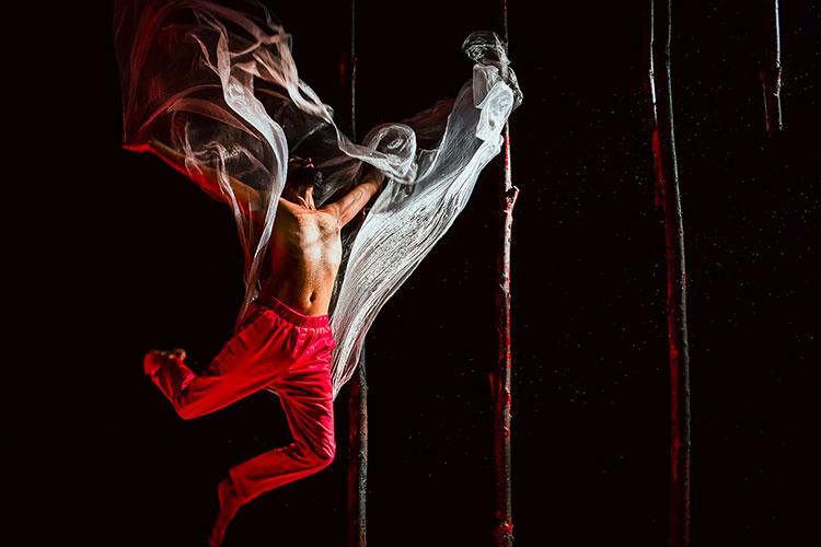 Dal 19 maggio in vendita i biglietti per gli spettacoli della Biennale Danza