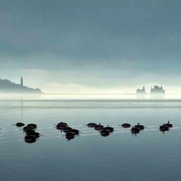 Biennale Architettura 2023 | Montenegro