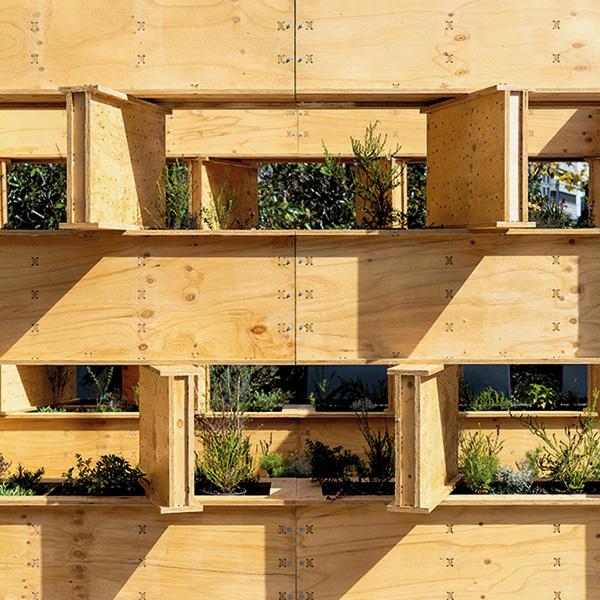 Biennale Architettura 2025 | Extinction Plan: Reimagining the Afterlife ...