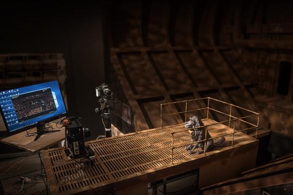 Biennale Cinema 2018 Isle of Dogs Behind the Scenes (in